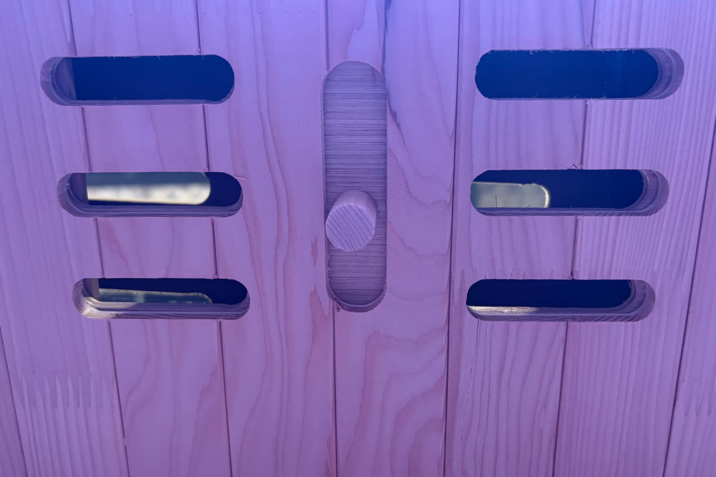 Blisspod Malmö 2-Person Infrared Sauna with Red Light Therapy – Low EMF Indoor Full Spectrum Wellness Sauna