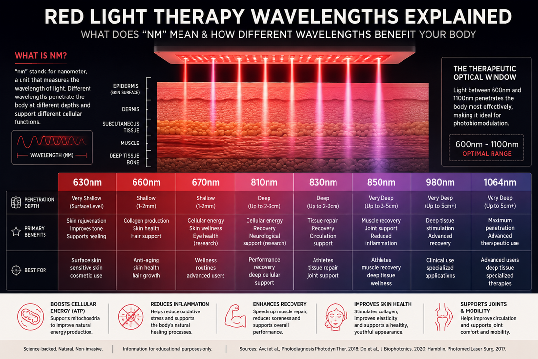Red Light Therapy Wavelengths Explained: What Does nm Mean? (630nm vs 660nm vs 850nm vs 1064nm)